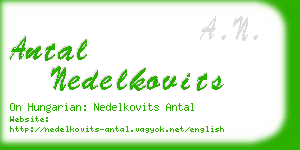 antal nedelkovits business card